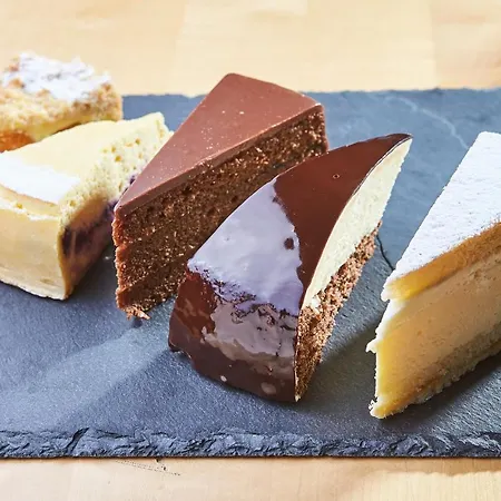 Pflegerbruecke Hotel Salzburgo